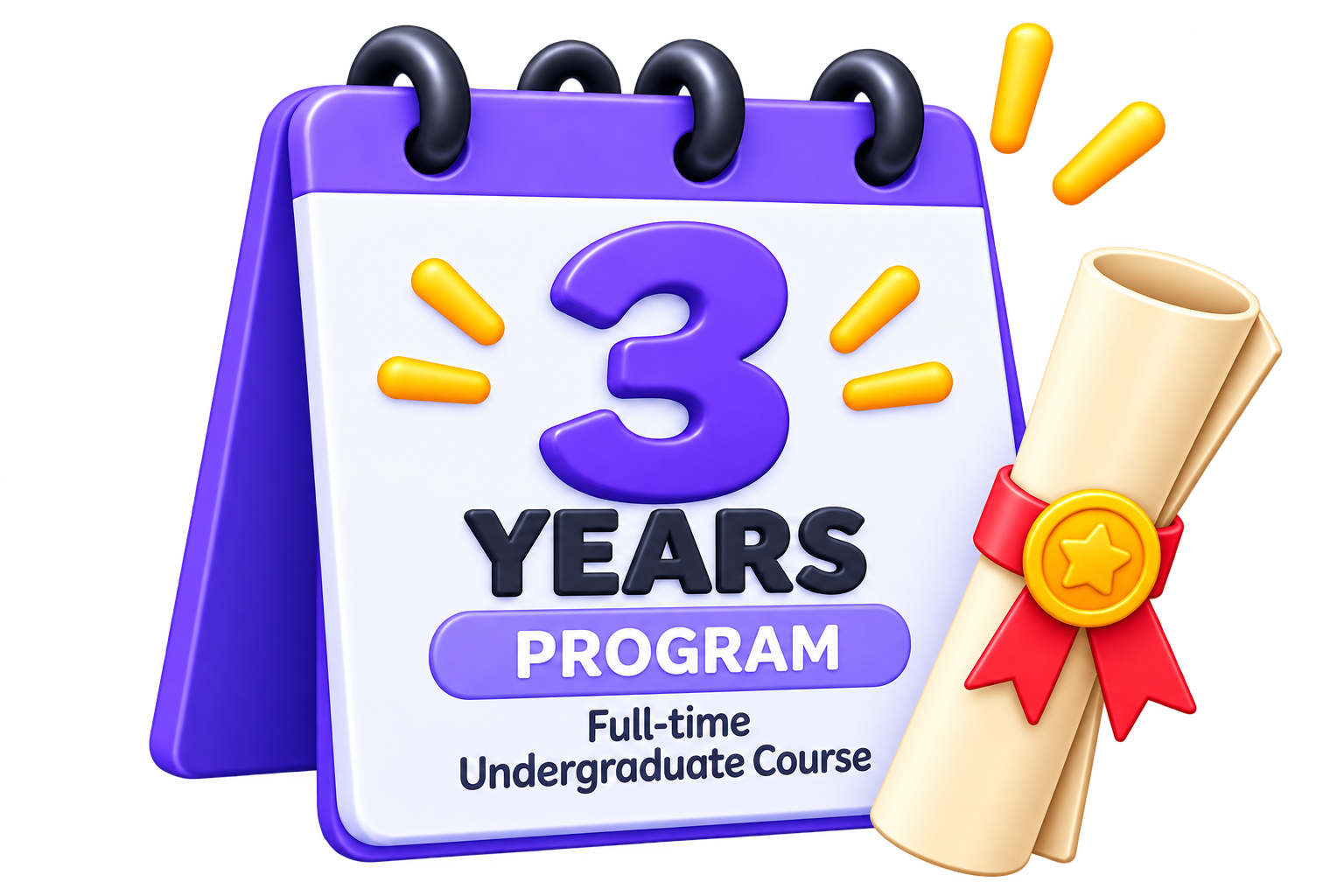 3 Year Program